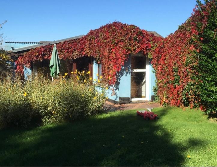 Вилла Blaues Haus Neu Reddevitz Lancken-Granitz Экстерьер фото